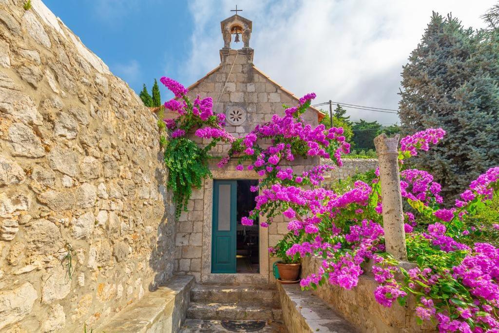 Leilighet Sylvia Studio Dubrovnik